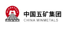 合作同伴